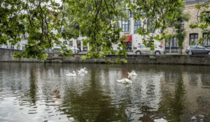 Langerei 14 bus 2 8000 Brugge 6